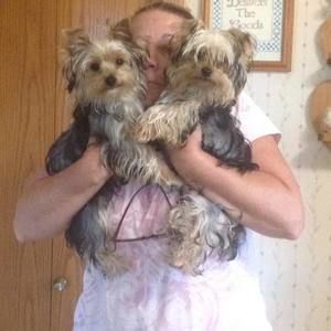 Meet your Posher, Martha